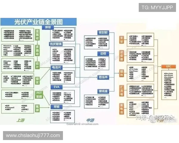 了解老虎机的基本玩法与历史发展全景解析
