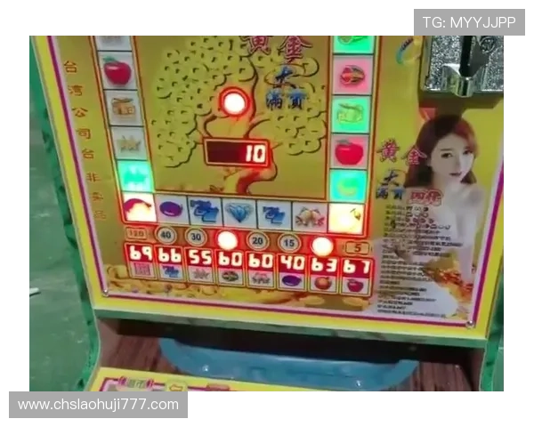 老虎机平台开户流程详解助你轻松开启精彩游戏之旅