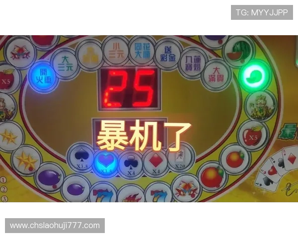 老虎机规则讲解：新手必看全面了解老虎机的基本规则与操作技巧