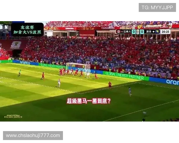 加拿大VS波黑比赛中采用的同分规则对球队战术调整的影响探讨